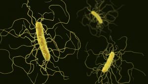Pfizer's New C. difficile Awareness Initiative Explained
