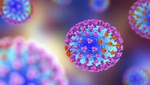 7 Myths About the Flu Vaccine