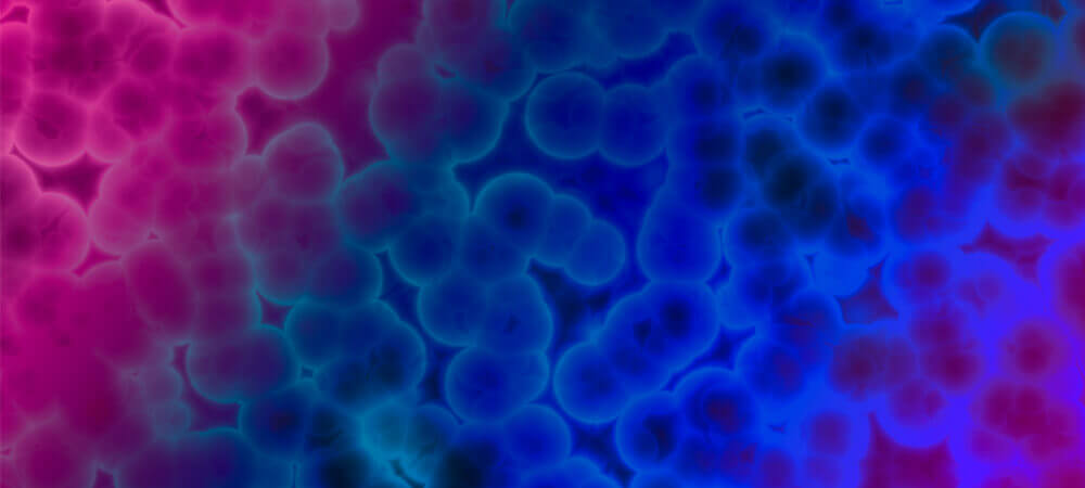 Pfizer's growing leadership in AMR Recognized