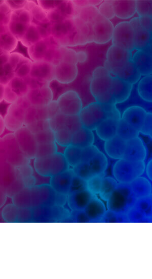 Pfizer's growing leadership in AMR Recognized