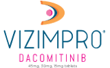 vizmpro product logo